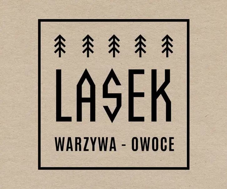 lasek-visual-identity